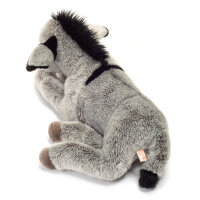 Donkey lying 50 cm