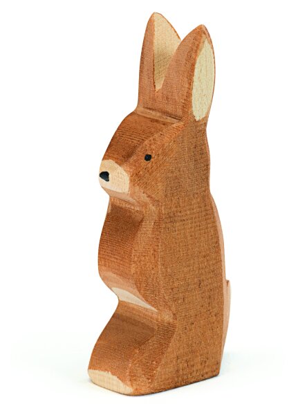Hase Ohr h.