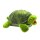 HP Schildkröte