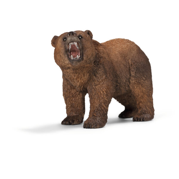 Ours