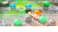 Kakerlaloop