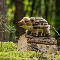 Wildschwein Frischling