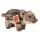 Wildschwein Frischling