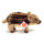Wildschwein Frischling