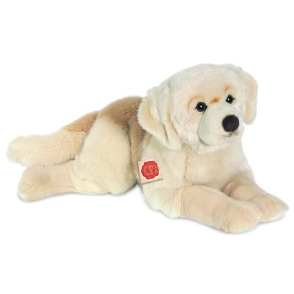 Golden Retriever 60 cm