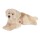 Golden Retriever 60 cm