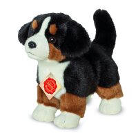 Berner Sennenhund