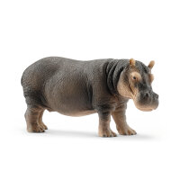 Flusspferd/Hippopotame