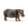 Flusspferd/Hippopotame