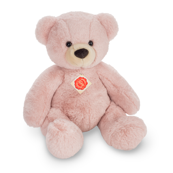 Teddybär
