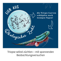 Triops Welt
