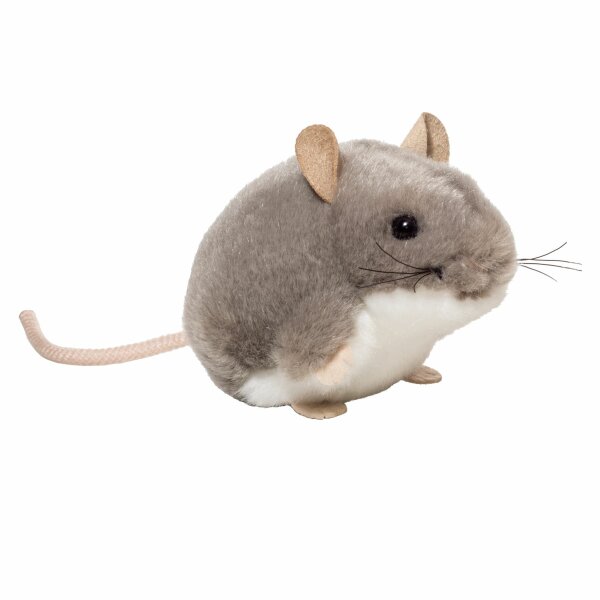 Maus