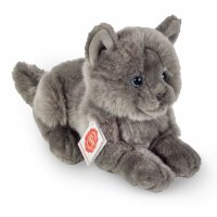 Kartäuserkatze liegend