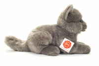Kartäuserkatze liegend