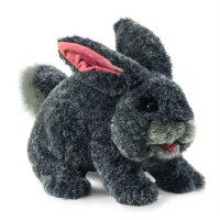 Grey Bunny Rabbit