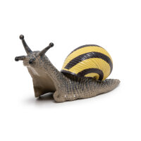 Escargot des bois
