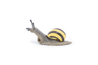 Escargot des bois
