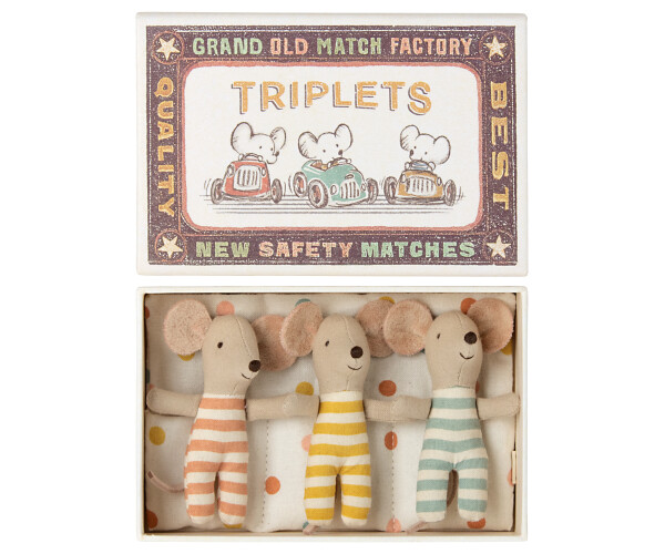 Triplets Baby Mice in Box