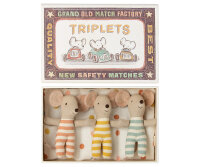 Triplets Baby Mice in Box
