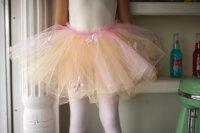 Butterfly Sunset Tutu