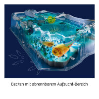 Triops z&uuml;chten