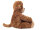 Affe Fritzi 40 cm