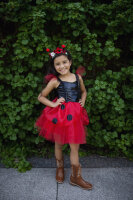 ladybug dress 5-6