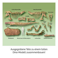 T-Rex-3D Ausgraben