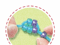 Be creative pearl animals