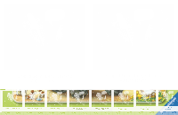 Puzzle Traktor auf dem Bauernhof (15 Teile)