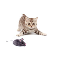 Mouse Robotic Pet toy