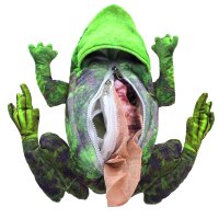 Frog Life cycle