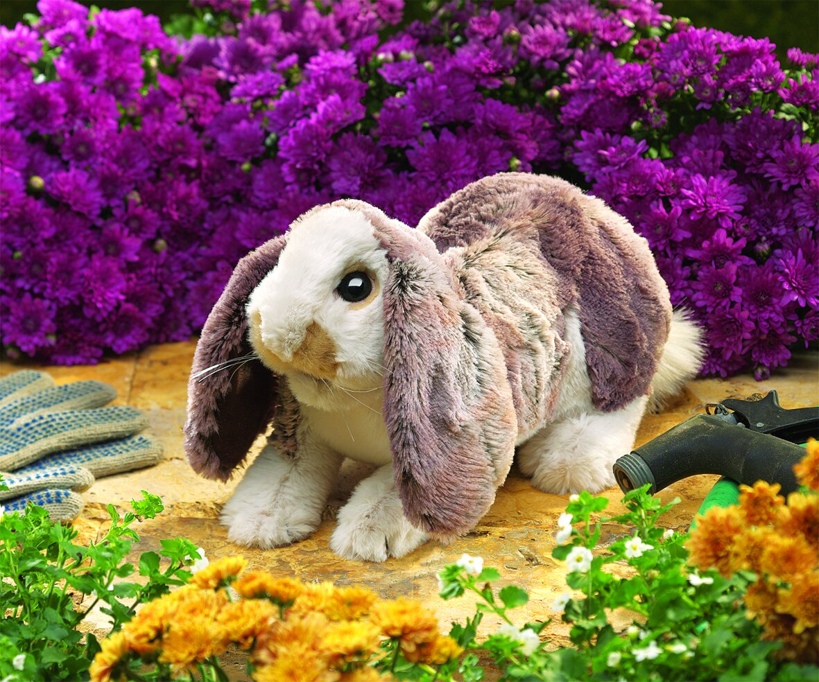 Baby Loop Rabbit, 55,00