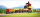 Farm Railway Set