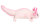 Axolotl