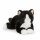 Katze schwarz