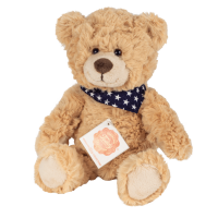 Teddy 23 cm (2-fach sortiert)