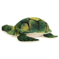 Wasserschildkr&ouml;te