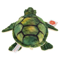 Wasserschildkr&ouml;te