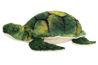 Wasserschildkr&ouml;te
