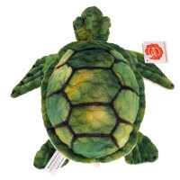 Wasserschildkr&ouml;te