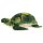 Wasserschildkr&ouml;te