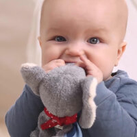 Schnuffeltuch Elefant Lolo Lombardo