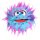Plops blau/rosa