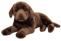 Labrador schokobraun