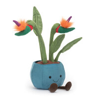 Blume