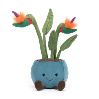 Blume