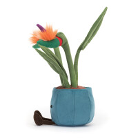 Blume