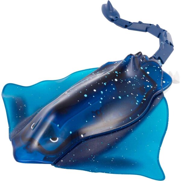 Manta Ray