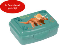 Mini-Snackbox Dino Friends